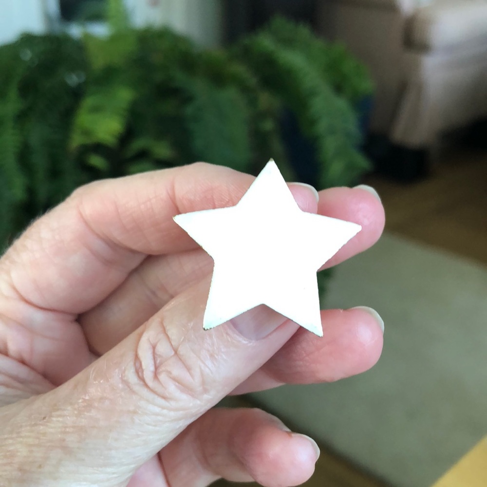 Vendome White Enamel Star Earrings  (E24)